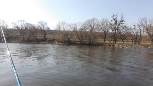 Рыбалка 2020, весной на спиннинг. Рак на силикон. Кайф получен! смотреть онлайн