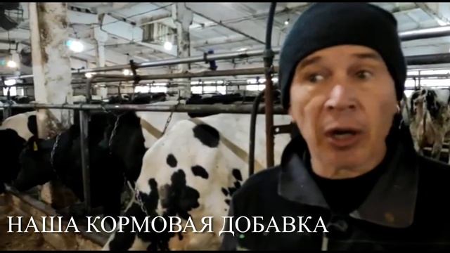 Краткий отзыв о нашем сопровождении. смотреть онлайн