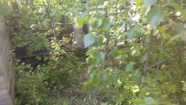 #лосьМихо. Первая прогулка смотреть онлайн