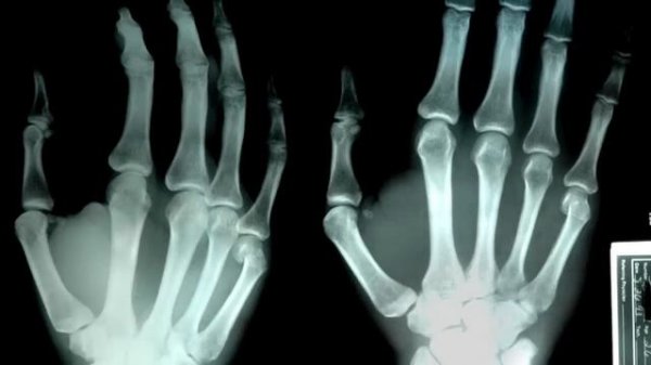 The complete Gerber gear YouTube channel and webshop GetOutAlive.nl