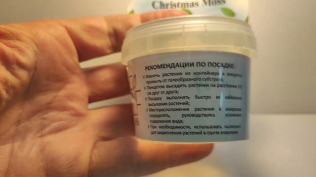 Живое аквариумное растение Мох Кристмас меристемное