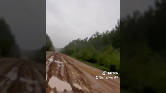 Полинчет смотреть онлайн