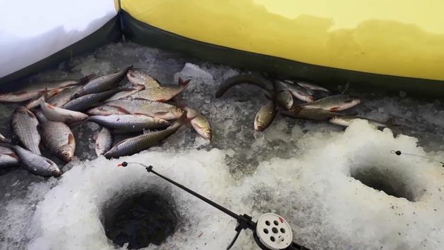 рыбалка ладога-кобона 2018 3.02.18 смотреть онлайн