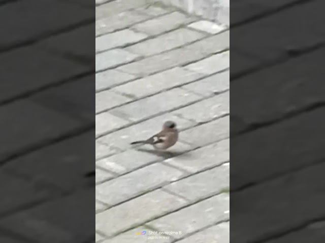 6 июня 2022 г. смотреть онлайн