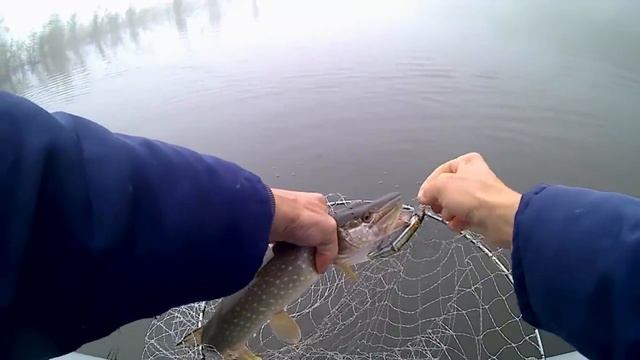 Васюринские разливы 09.11.18. - смотреть онлайн