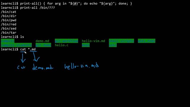 Shell - 5 - Bash Shell Expansions смотреть онлайн