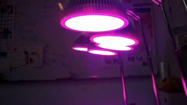 LED植物生長燈實測(縮時攝影)PAR38 LED Grow Lights On-the-spot(Time-lapse Photography) смотреть онлайн