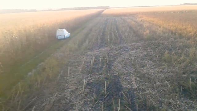 соняшник 2021подсолнух Альдазор агро-ритм ЦІНА врожайність