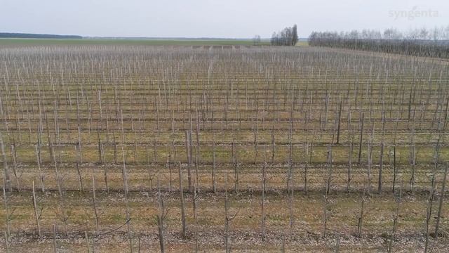 Защита сада 2021. Какие проблемы ожидать и чем работать? смотреть онлайн