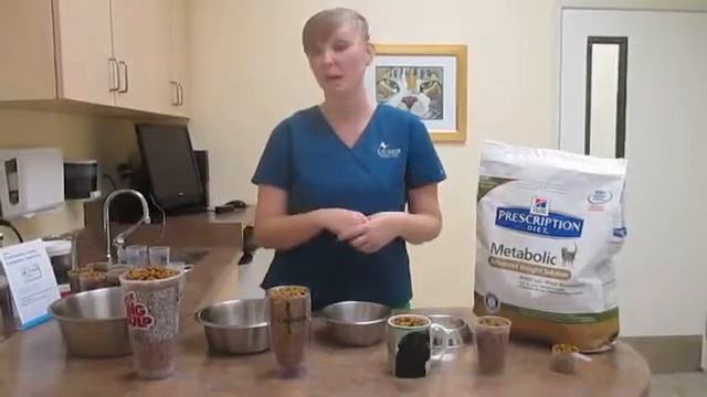 How much are you feeding How to measure your pet's food смотреть онлайн