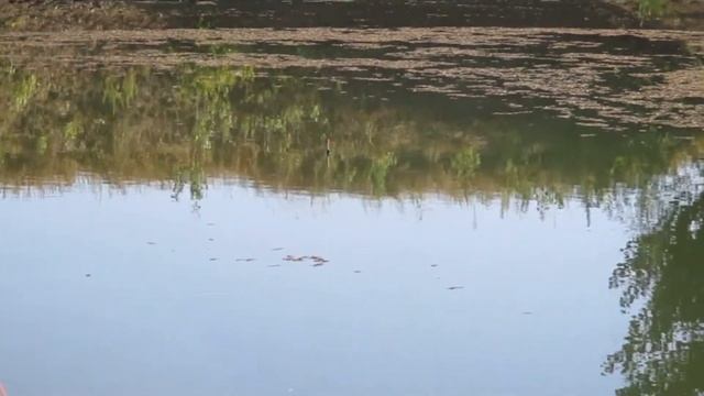 Рыбалка Таловый смотреть онлайн