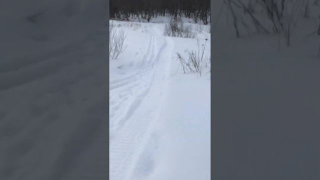 Мотосноуборд(МСБ),8лс,SIBMASTER смотреть онлайн