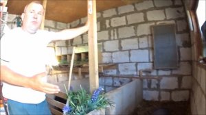 Глубокая подстилка для свиней, бактерии