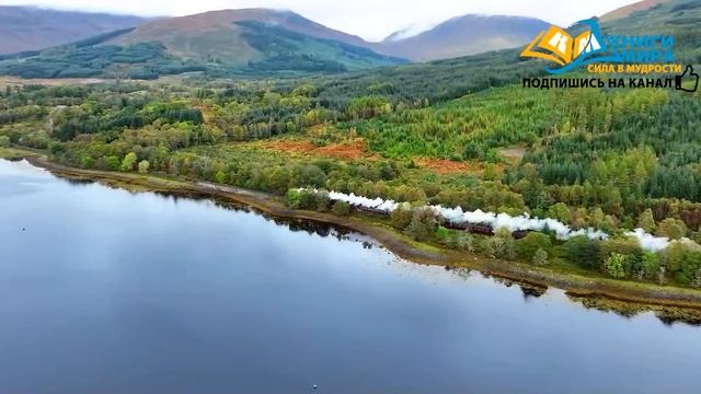 Настоящий Секрет Просветления и Почему Его Нет! Как Мозг Нас Обманывает с Точки Зрения Науки! Никош смотреть онлайн