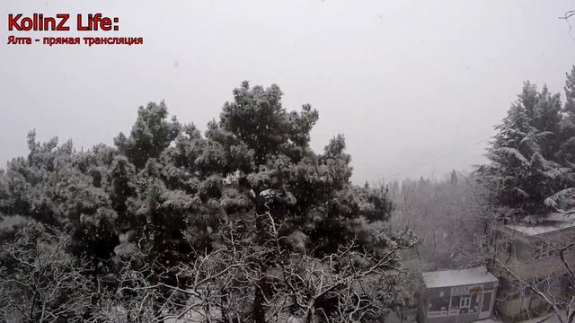 Ялта Прямая трансляция 18 февраля 2021 года Выпал снег !!! смотреть онлайн