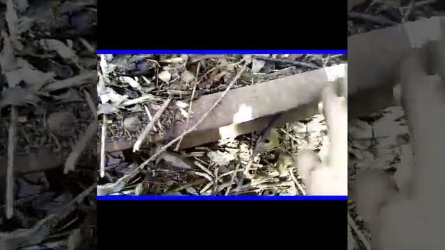 РАМ 5 ОБЗОР КАКОЕ ЖЕЛЕЗО МОЖНО НАЙТИ смотреть онлайн