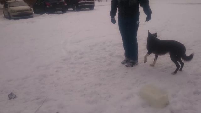 Как взорвать мозг бордеру ? смотреть онлайн