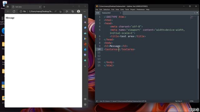 TextArea HTML (WebsiteDevelopment v11) смотреть онлайн