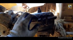 К-700а.Протравка.Регулировка тормозных колодок. Подготовка к посевной. Прибился жеребёнок.