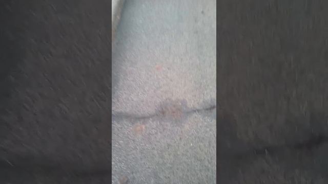какая погода в Синельниково смотреть онлайн