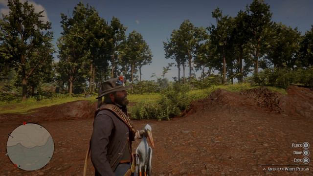 Red Dead Redemption 2 White Pelican gives up on life. смотреть онлайн