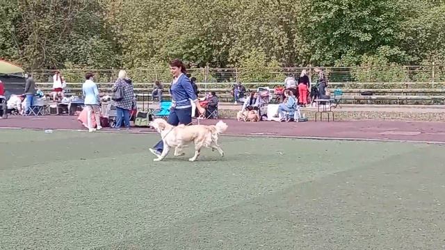 Выставочный дебют Ариши 20 мая 2023