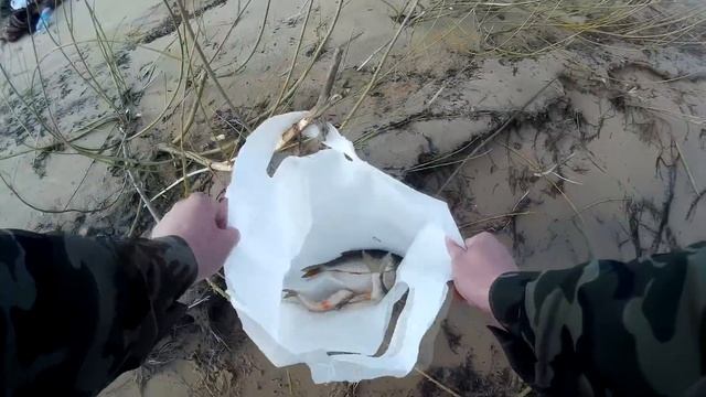 Развилка Неман Лещ и Плотва. Город Советск Калининградская область смотреть онлайн