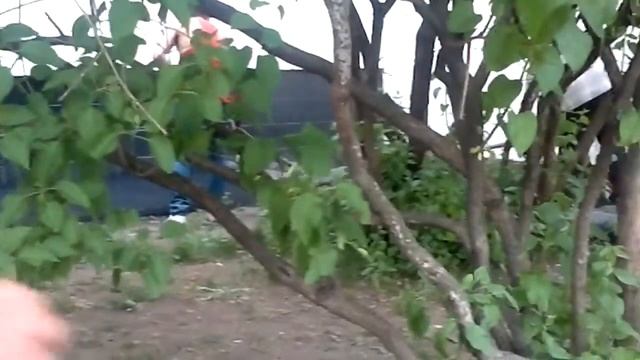 Работы по асфальтоукладке у 1 подъезда 19 мая 2014 смотреть онлайн