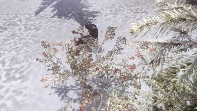 TES V Skyrim Ragdoll glitch смотреть онлайн