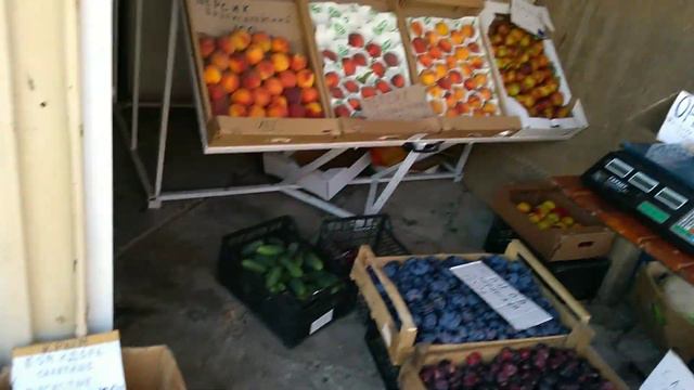 Пляж дельфин Ялта Крым смотреть онлайн