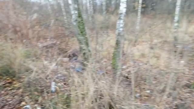 (повесточка...)Ярославль-Серпухов-Ярославль смотреть онлайн