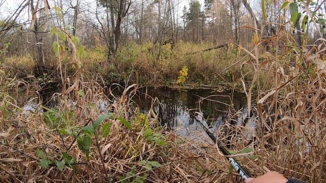 Еду на рыбалку на красивую лесную речку с поплавочной удочкой. Малые реки Татарстана смотреть онлайн
