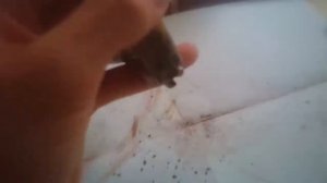Как сделать бертолетовую соль