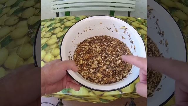 #shorts#рецепты КОПЧЕНИЕ РЫБЫ горячим способом терпуг скумбрия смотреть онлайн