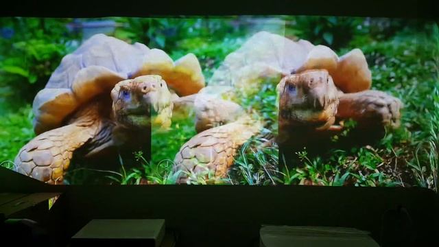 Сравнение картинок лазерных проекторов XGimi Lune (Full HD) и Mi Laser Xiaomi xmitv.ru смотреть онлайн