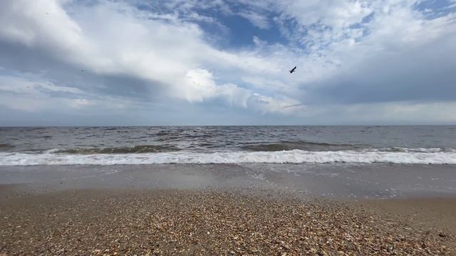 ?Что нас ждëт в 24-й Лунный день с 02.08. 23:43 по 03.08. 00:07? Лунный календарь. #гороскоп #таро смотреть онлайн