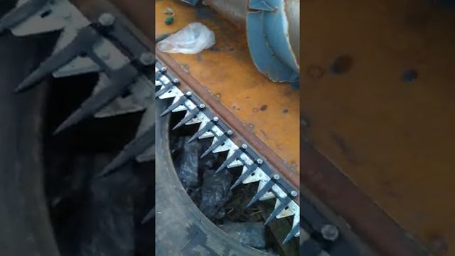 пальцы и коса Шумахер на МКШ смотреть онлайн