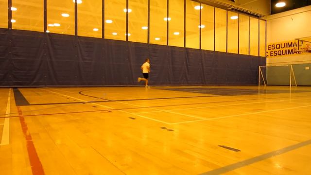 Beep Test Prep - 20m Shuttle Run Test смотреть онлайн