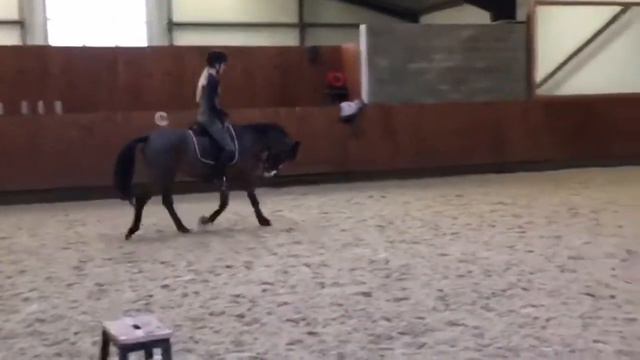 Camilla, til salg смотреть онлайн