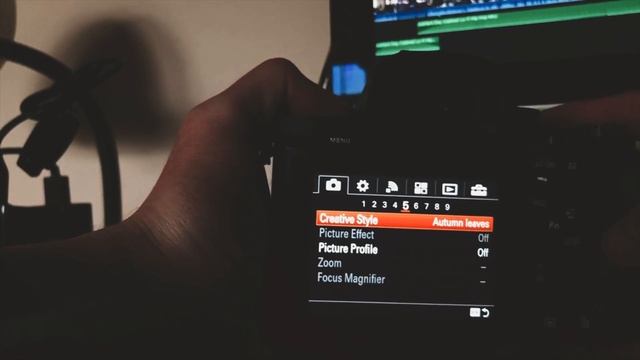 My Sony A7II Settings for Filmmaking смотреть онлайн