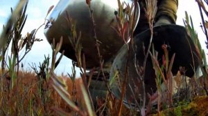 Клюква 2021 год,сбор ковшом.