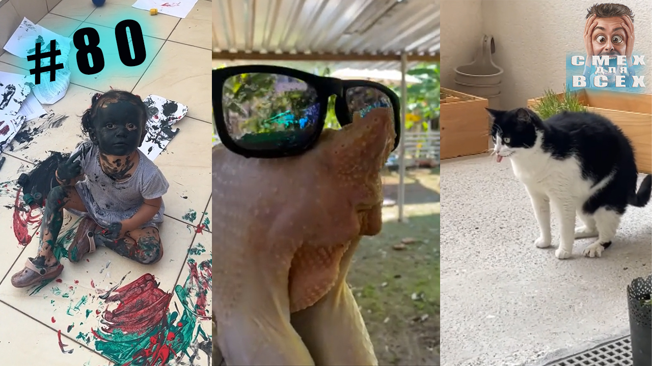 ПРИКОЛЫ 2023 СМЕШНЫЕ ВИДЕО ЧУДИКИ ИЗ ТИК ТОК СМЕХ ДЛЯ ВСЕХ №80 смотреть онлайн