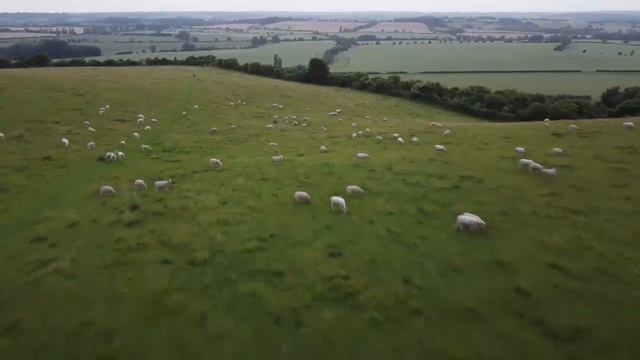 Музыка для души | Снятие тревоги, медитация, массаж, йога, снятие стресса, очищение мыслей. смотреть онлайн