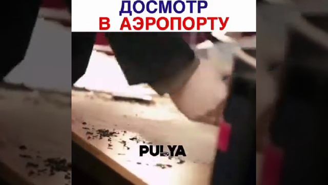 Досмотр аэропорде жалко смотреть онлайн