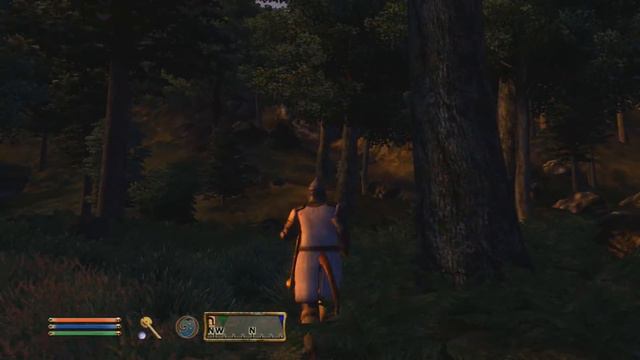 Elder Scrolls IV: Oblivion - The 2018 Review смотреть онлайн