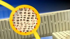 Latexco - латекс для матрасов Matramax