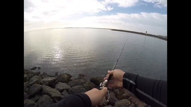 Surface Lure Fishing Fun @ Manly смотреть онлайн