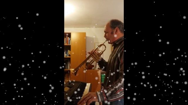 Karl yamaha psr 520 and Trumpet смотреть онлайн