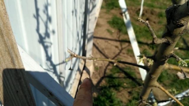 Откатные ворота, изготовление, нюансы 3 года в эксплуатации. смотреть онлайн