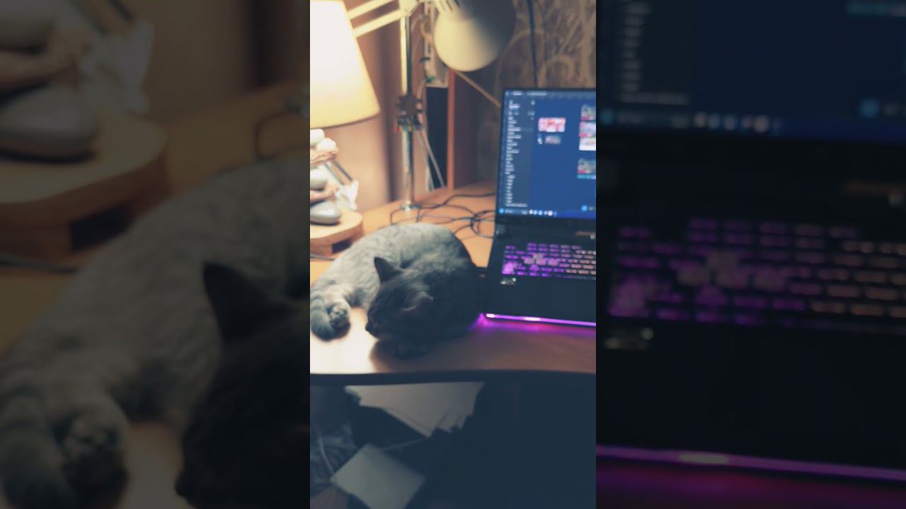 контроль не спит #shorts смотреть онлайн